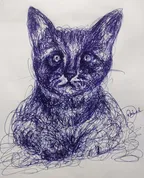 Scribble drawing a cat - ballpoint pen art ✒️ thumbnail