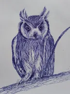 Drawing an Owl thumbnail