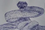 Mamba snake || pen drawing ✒️ thumbnail