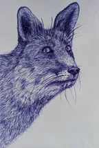 Pen Drawing - a Fox 🦊 thumbnail