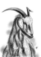 Scribble Sketch of a big horned Goat! thumbnail