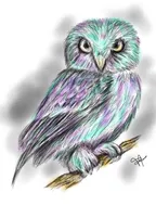 Digital sketch of a beautiful 