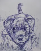 Drawing a small puppy thumbnail