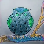 A bright Owl' -pencil drawing thumbnail